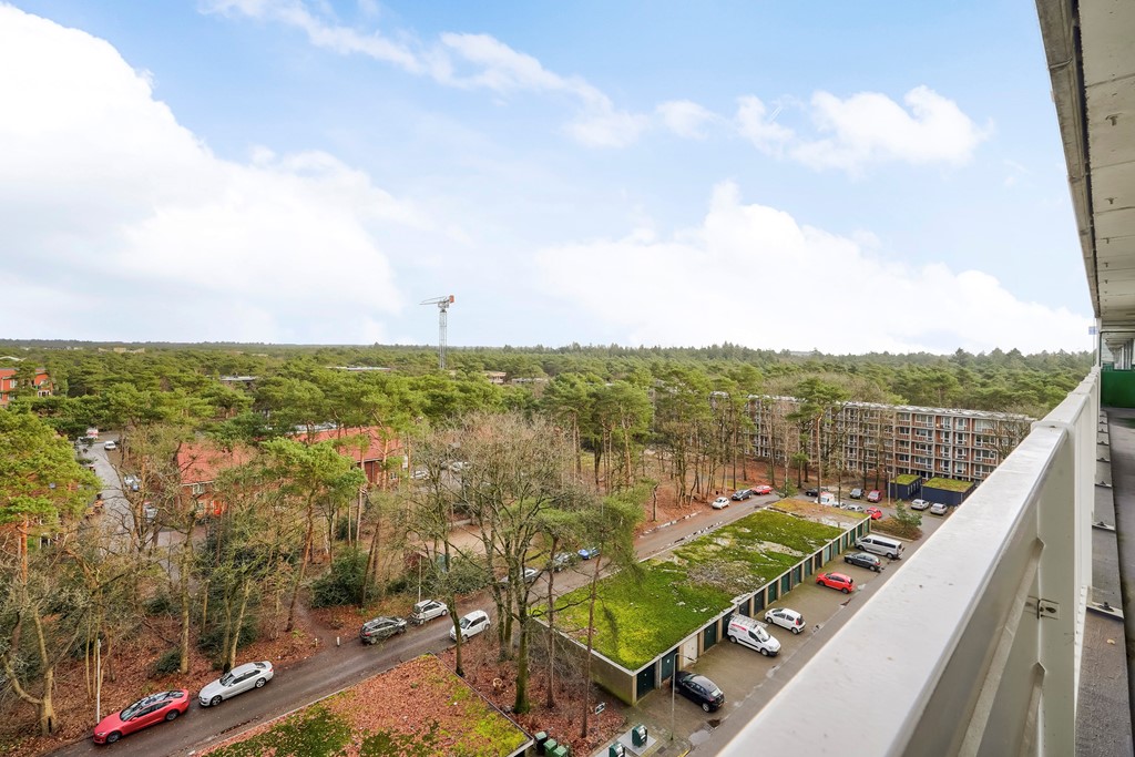 Anna Paulownalaan 172_08.jpg